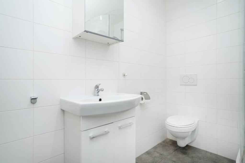 Bright, Spacious Apartment In The Historic Centre Prague Exterior photo